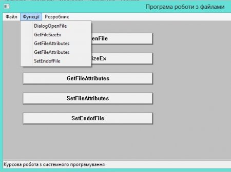 Розробка програми роботи з файлами в операційної системі Windows